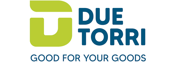 DUE TORRI