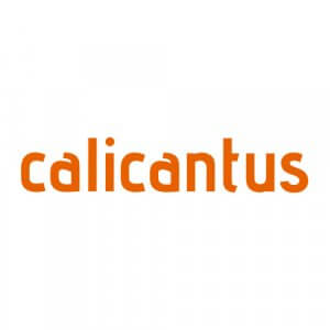calicantus