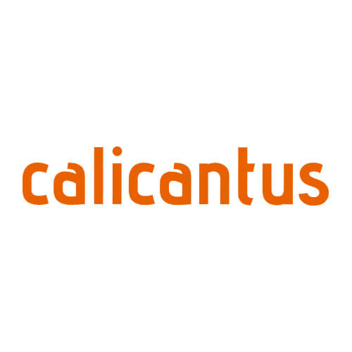 calicantus